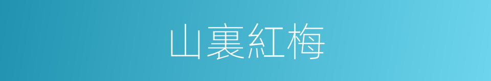 山裏紅梅的同義詞