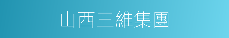 山西三維集團的同義詞