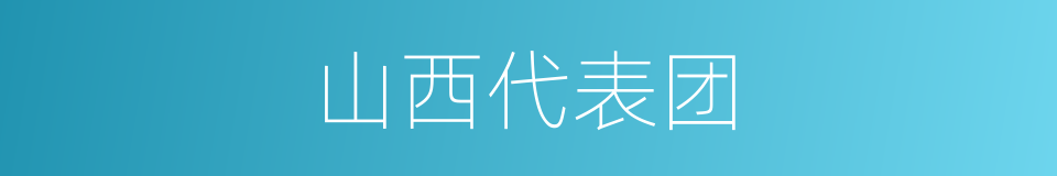 山西代表团的同义词