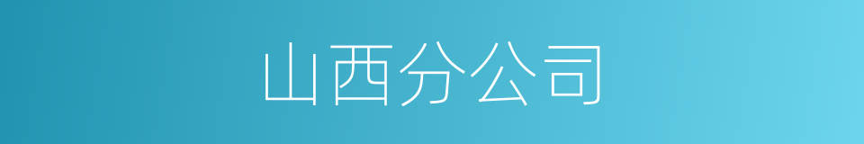 山西分公司的同义词