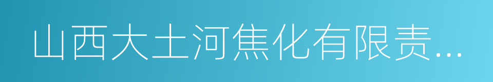 山西大土河焦化有限责任公司的同义词