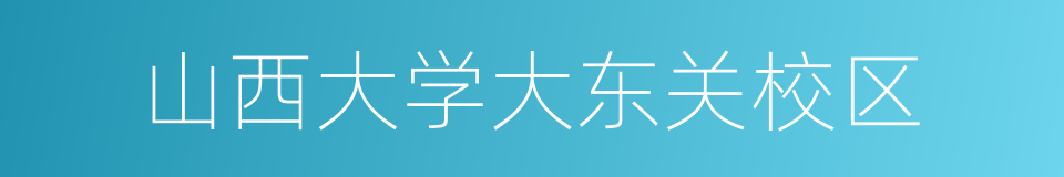 山西大学大东关校区的同义词