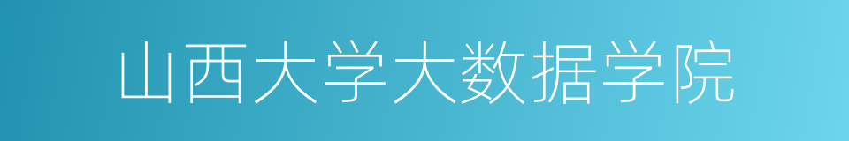 山西大学大数据学院的同义词