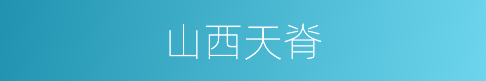 山西天脊的同義詞