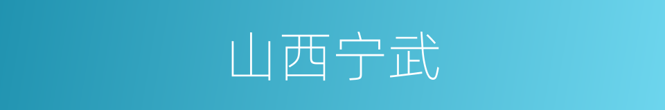 山西宁武的同义词