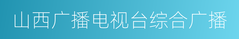 山西广播电视台综合广播的同义词