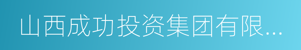 山西成功投资集团有限公司的同义词