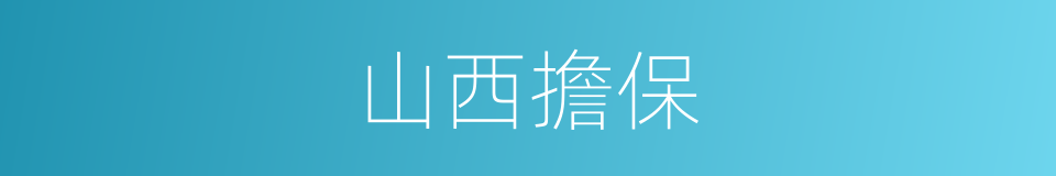 山西擔保的同義詞