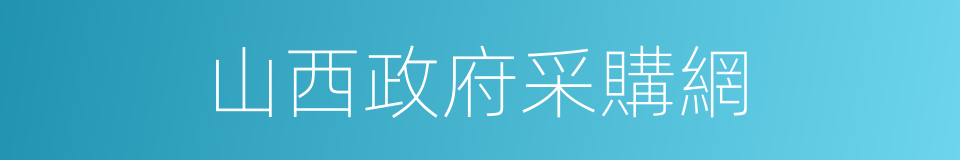 山西政府采購網的同義詞