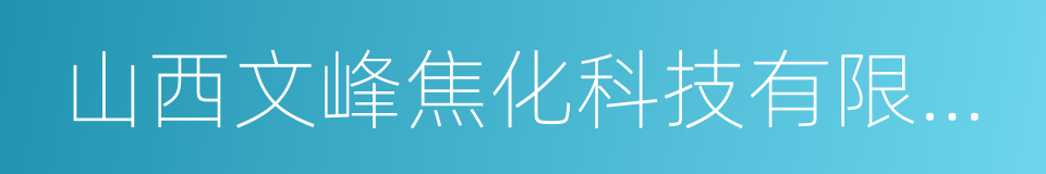 山西文峰焦化科技有限公司的同义词