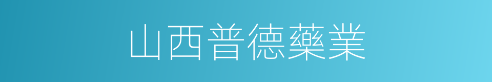 山西普德藥業的同義詞