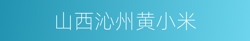 山西沁州黄小米的同义词