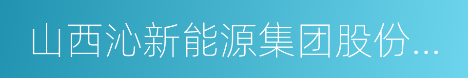 山西沁新能源集团股份有限公司的同义词