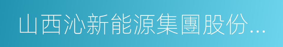 山西沁新能源集團股份有限公司的同義詞