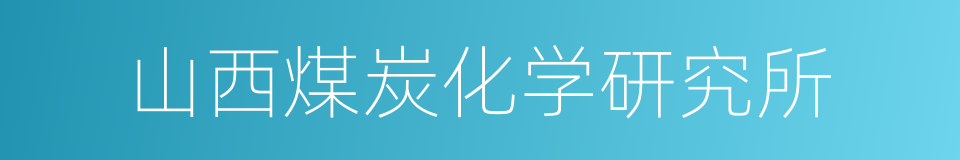 山西煤炭化学研究所的同义词