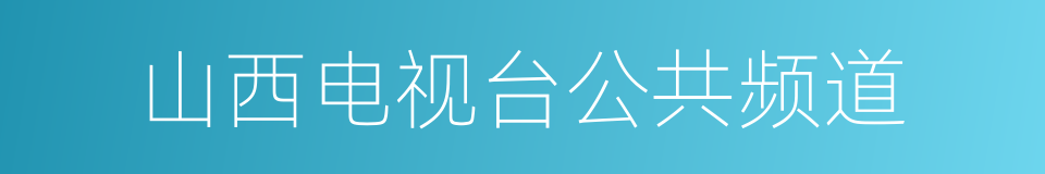 山西电视台公共频道的同义词