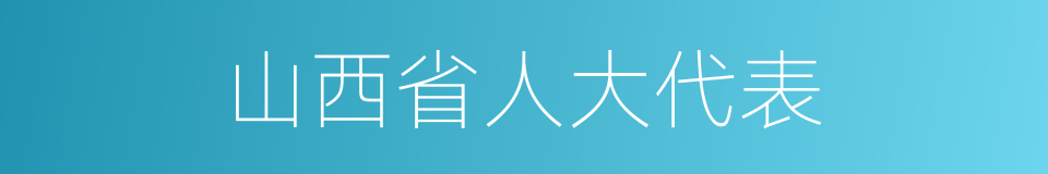 山西省人大代表的同义词