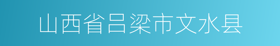 山西省吕梁市文水县的同义词