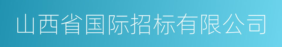 山西省国际招标有限公司的同义词