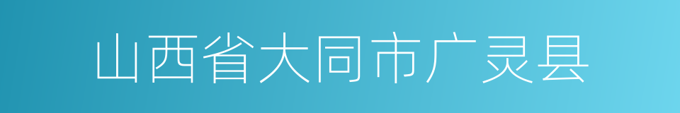 山西省大同市广灵县的同义词