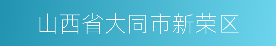 山西省大同市新荣区的同义词