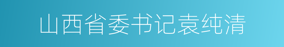 山西省委书记袁纯清的同义词