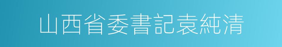 山西省委書記袁純清的同義詞