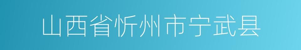 山西省忻州市宁武县的同义词