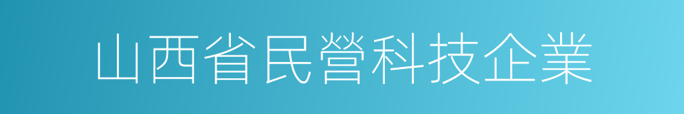 山西省民營科技企業的同義詞