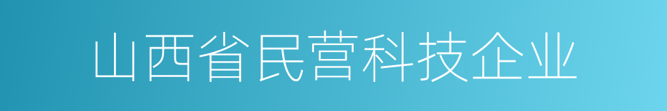 山西省民营科技企业的同义词