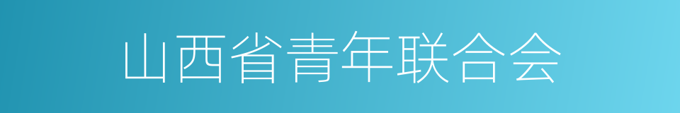 山西省青年联合会的同义词