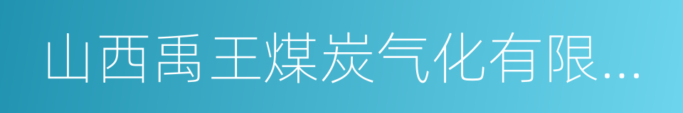 山西禹王煤炭气化有限公司的同义词