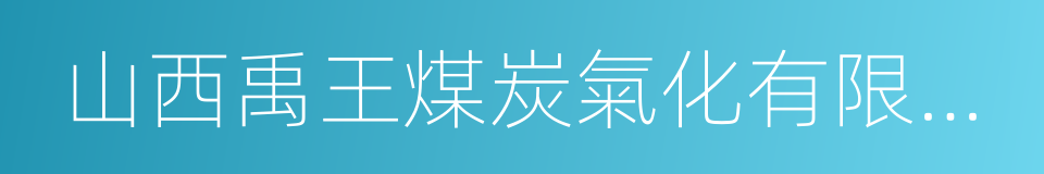 山西禹王煤炭氣化有限公司的同義詞