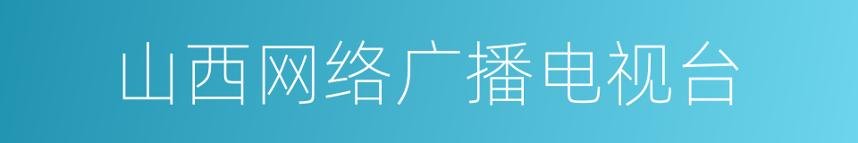 山西网络广播电视台的同义词