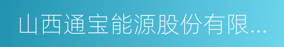 山西通宝能源股份有限公司的同义词