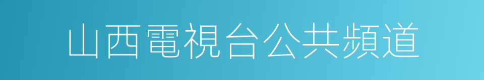 山西電視台公共頻道的同義詞