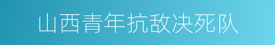 山西青年抗敌决死队的同义词