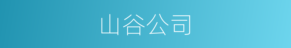 山谷公司的同义词