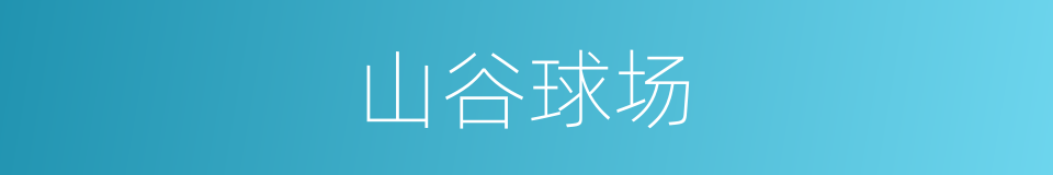 山谷球场的同义词