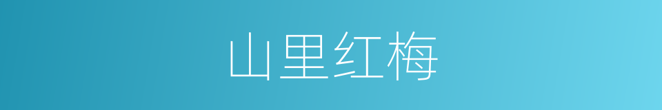 山里红梅的同义词