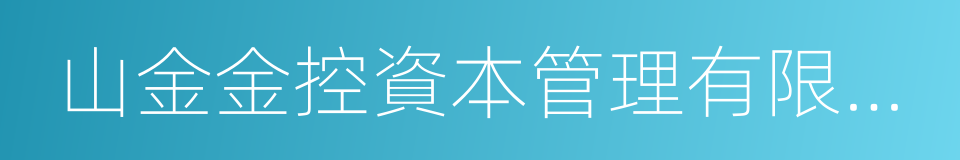 山金金控資本管理有限公司的同義詞