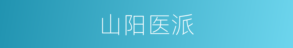 山阳医派的同义词