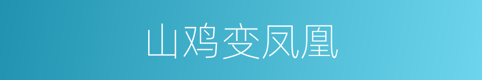 山鸡变凤凰的同义词