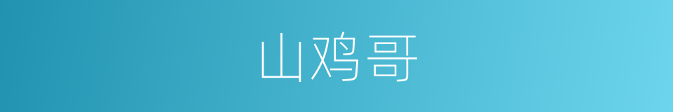 山鸡哥的同义词