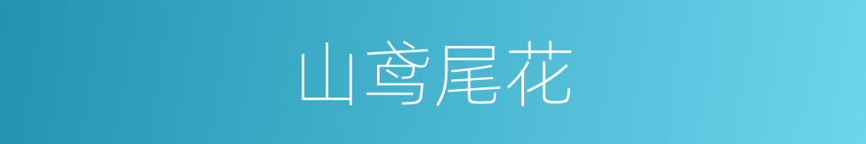 山鸢尾花的同义词