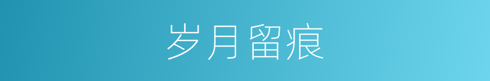 岁月留痕的意思
