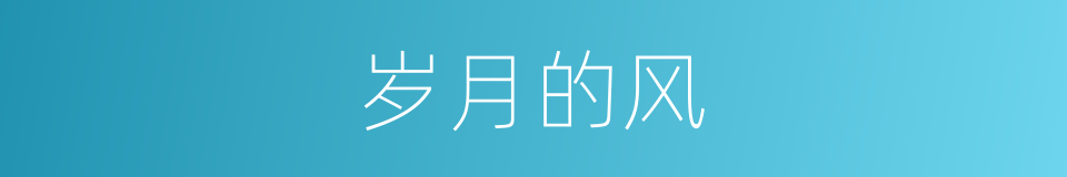岁月的风的同义词