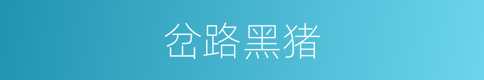 岔路黑猪的同义词