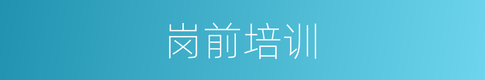 岗前培训的同义词