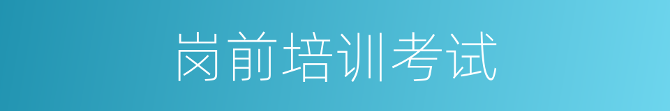 岗前培训考试的同义词